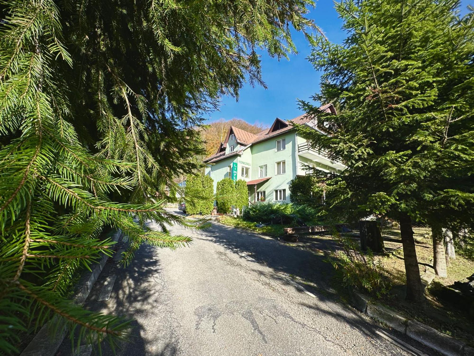Pensiunea Limpedea Baia Sprie Exterior foto