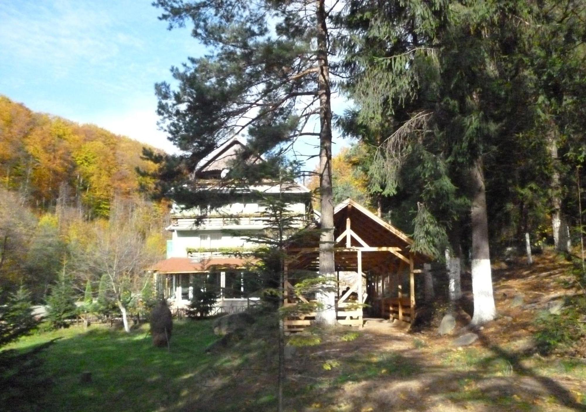 Pensiunea Limpedea Baia Sprie Exterior foto